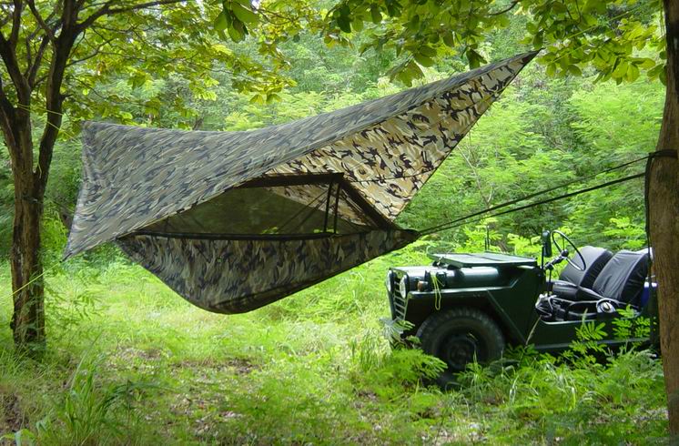 picJungleHammockJeep.JPG