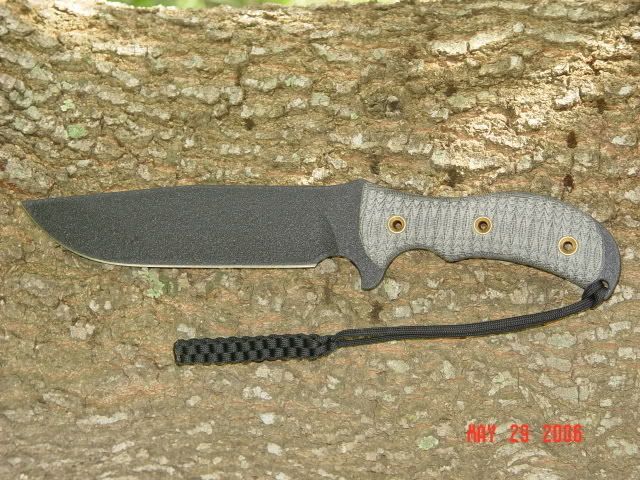 SwampRat-Ratweilerwithcordonrock.jpg