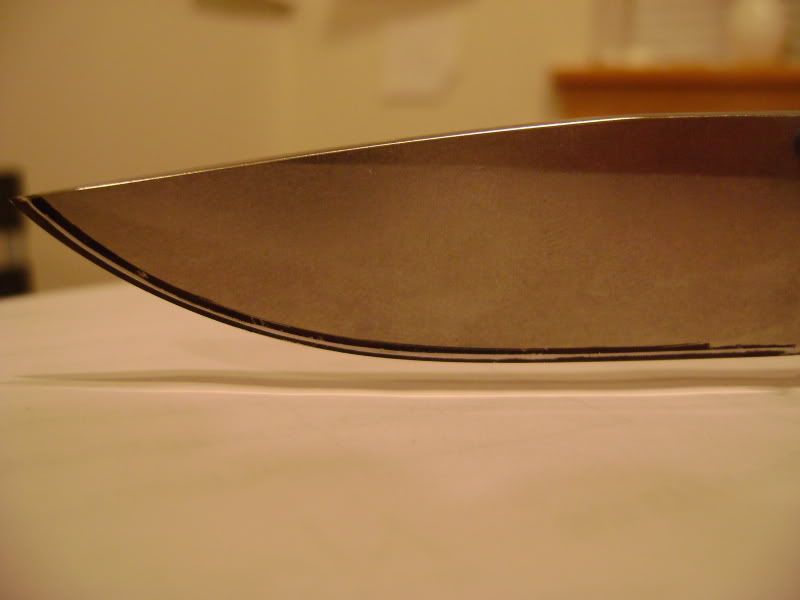 DSC00874.jpg