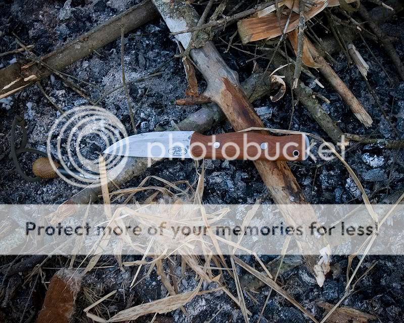 IMG_5065.jpg