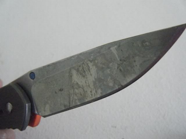 DSCF1943.jpg