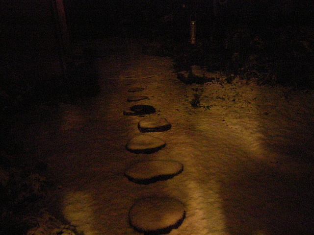 2010.02.01.r0020126.jpg