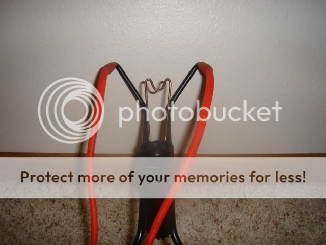 2009Pics005.jpg