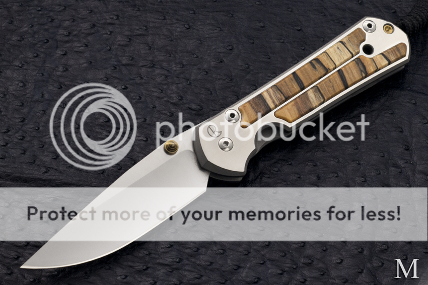 IMG_3887_zpsyj2rpyan.png