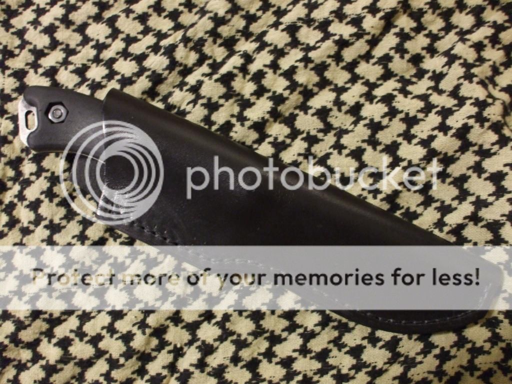 DSCF8032_zps14374cce.jpg