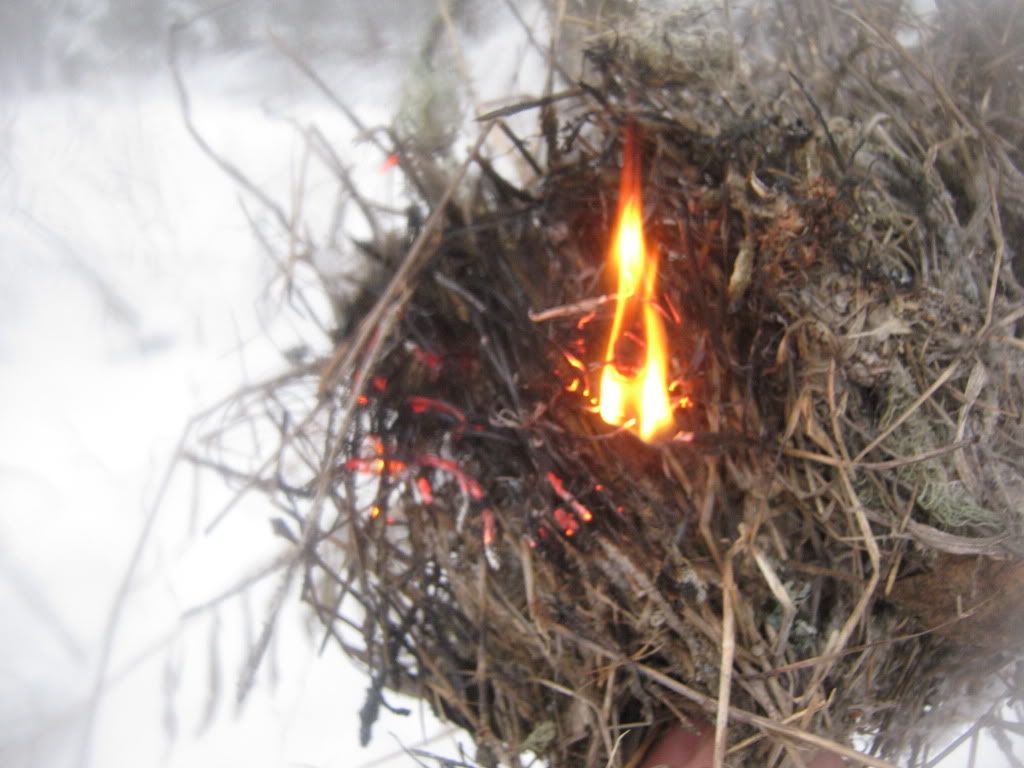 decemberbushcraft035.jpg