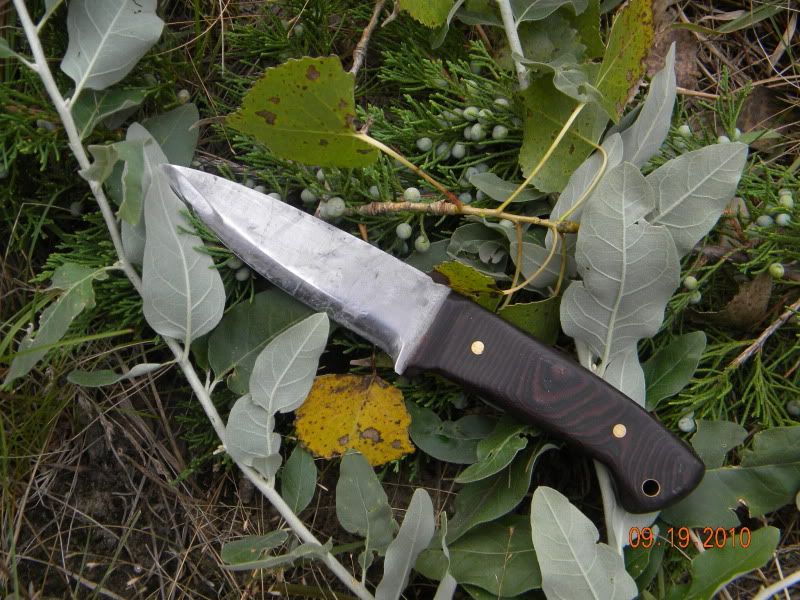 DSCN2847.jpg