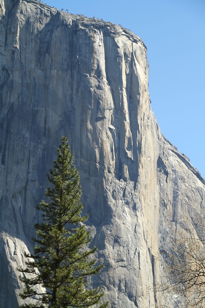 IMG_6887.jpg