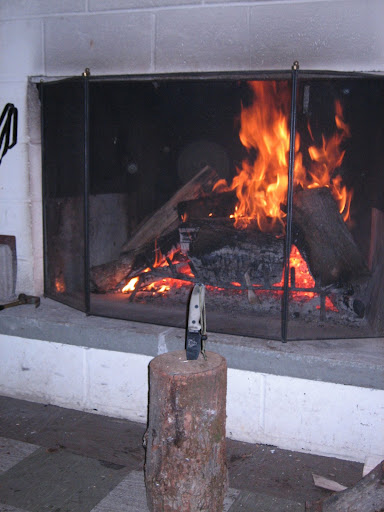 Rat%203%20009.jpg