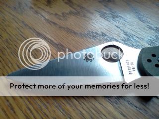 IMG_20121006_122919.jpg
