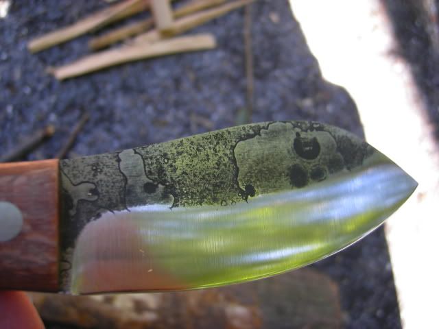 camping034.jpg