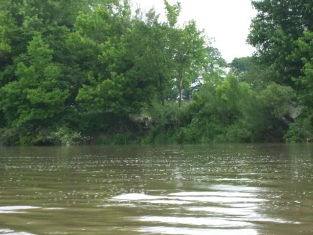 DSCF1875.jpg