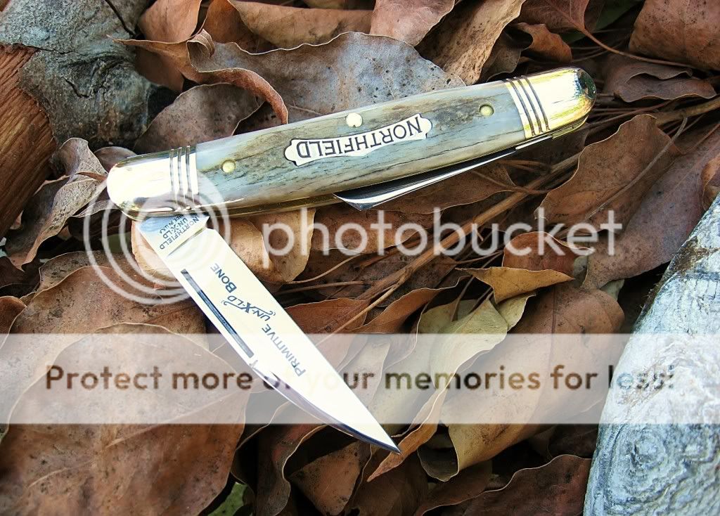 GEC62PrimitiveBone030a.jpg