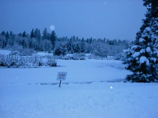 Photo0003.jpg