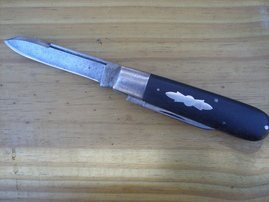 STP80605.jpg