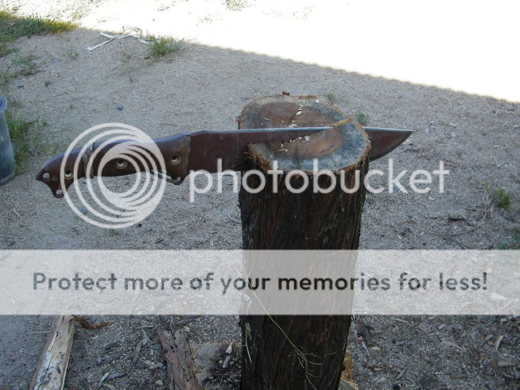 DSCF2831.jpg