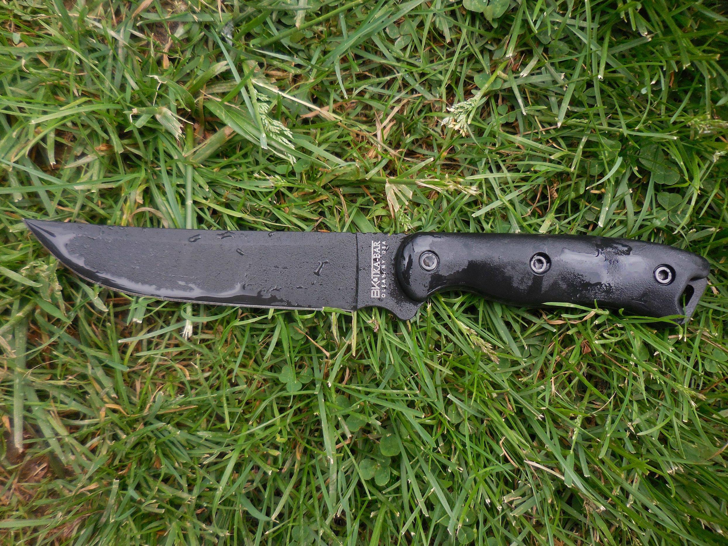fn4sZMZ.jpg