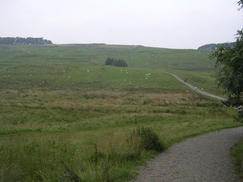 DSCN4436.jpg