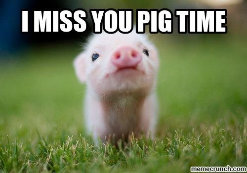 214460-I-Miss-You-Pig-Time.jpg