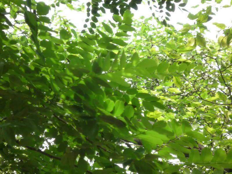 P1060869.jpg