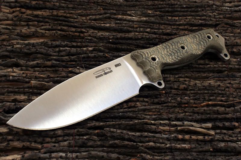 ASH-1no8630951.jpg