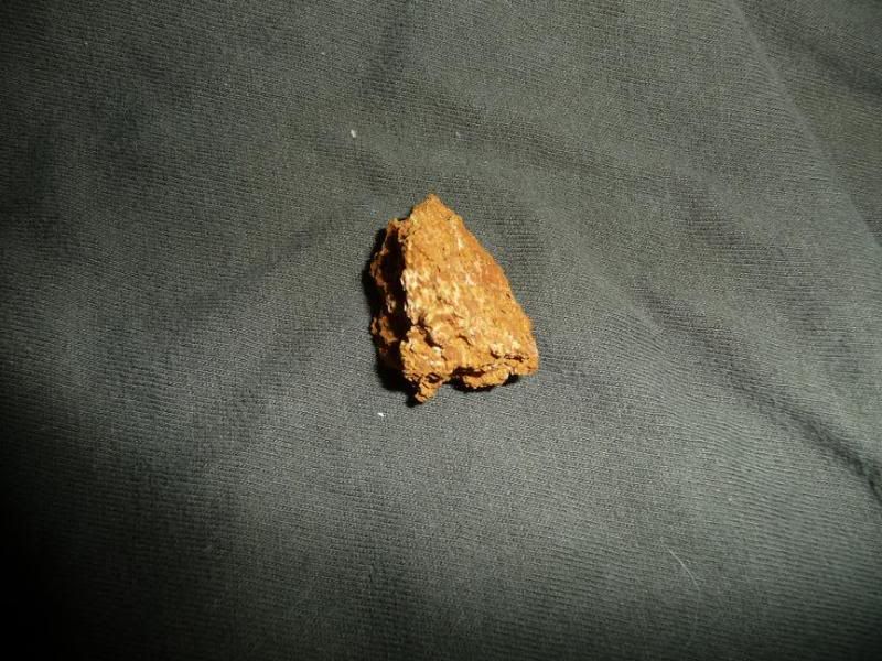 chaga1.jpg