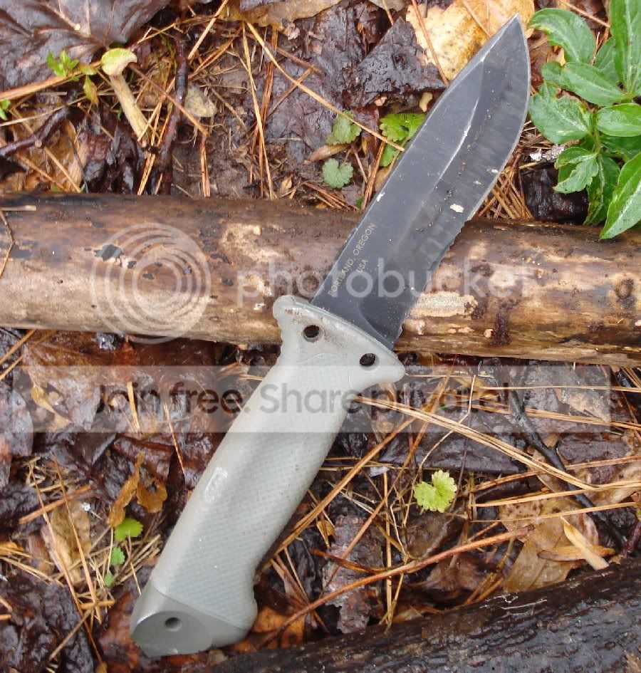 Gerber_LMF2_8.jpg