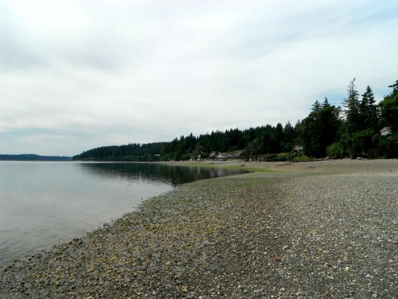 DSCF0457.jpg
