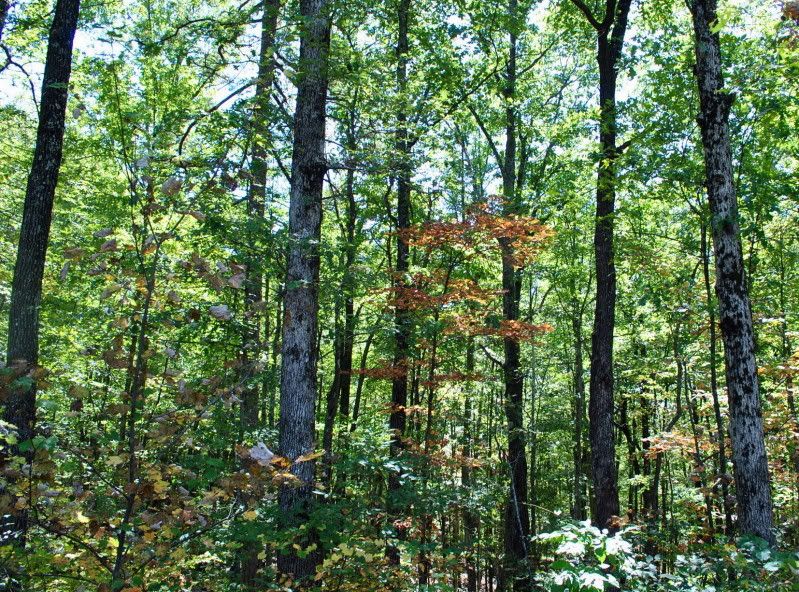 DSC_3230.jpg