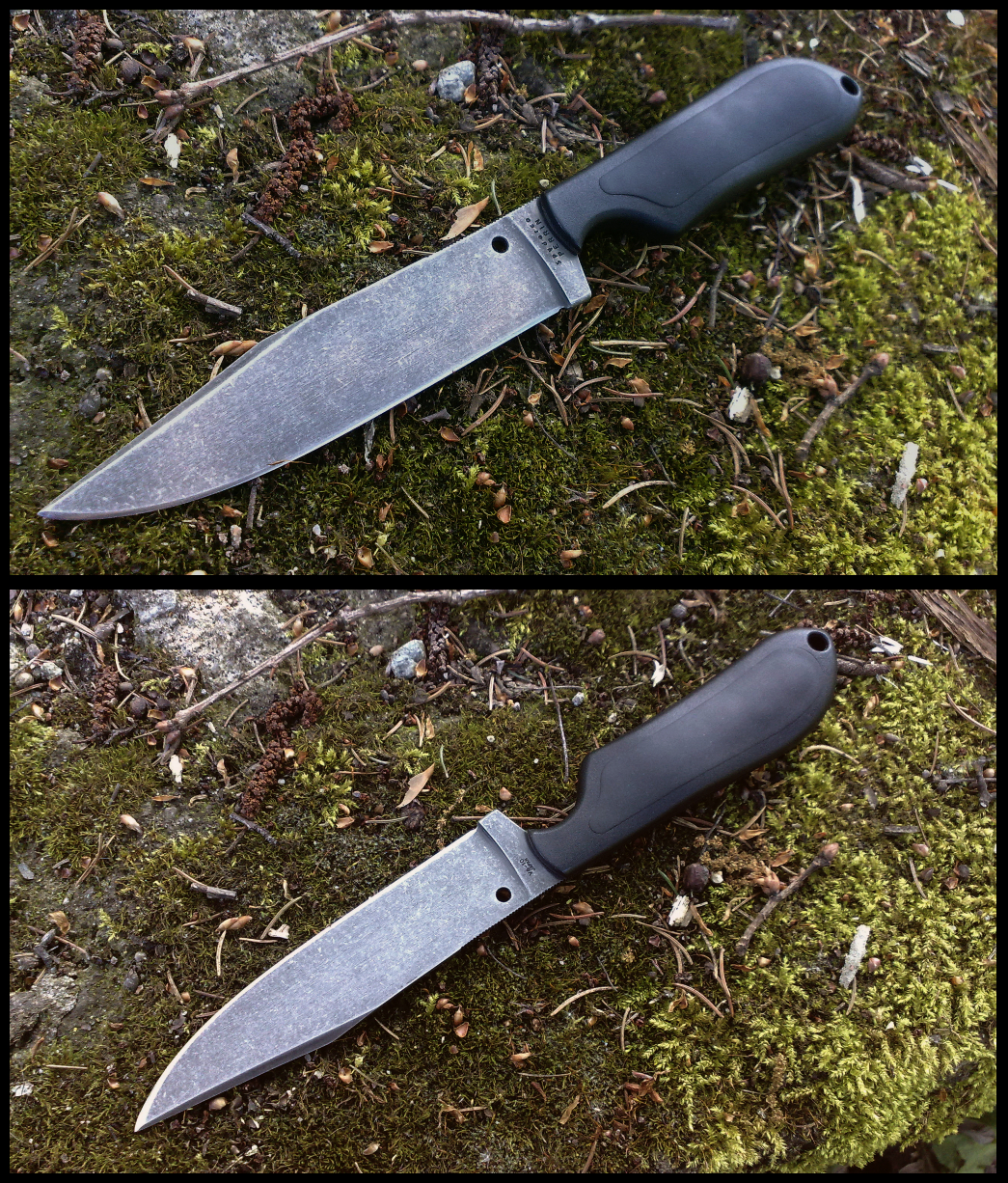 zg9qP06.jpg