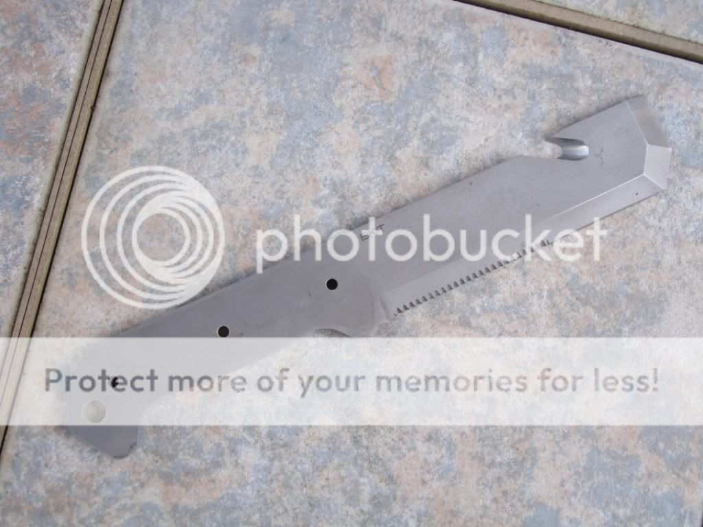 DSC02712-Copy.jpg