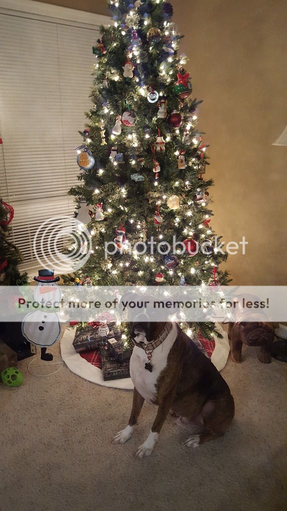 20161211_183428_zpsg9qaov2k.jpg