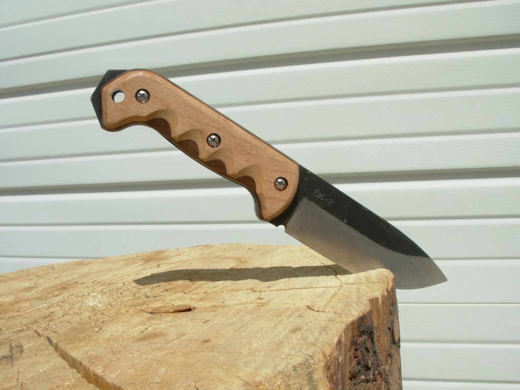 DSCN1558.jpg