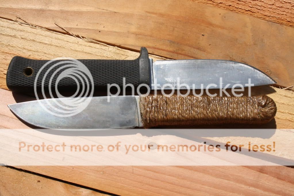 IMG_4255.jpg
