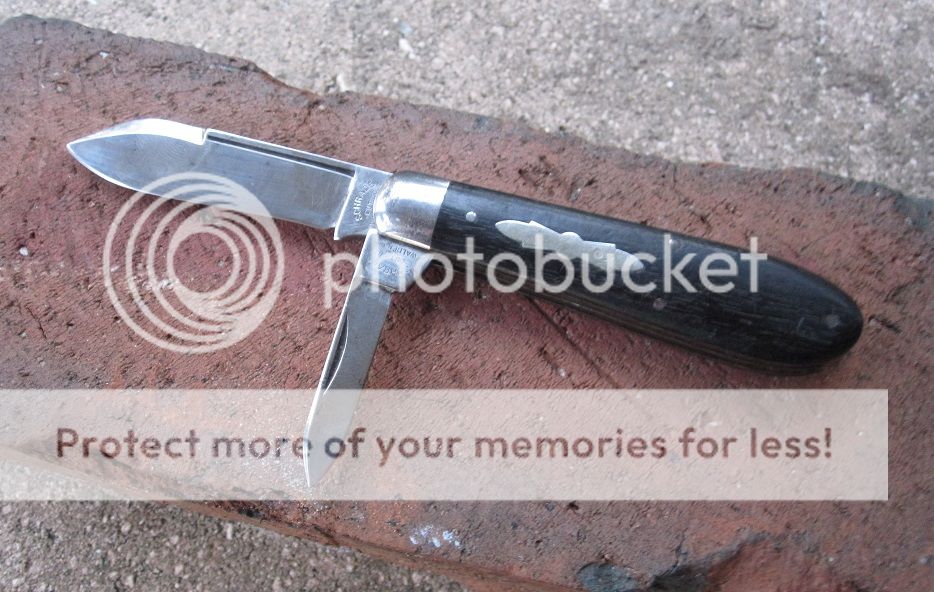 IMG_4029_zpstye3snh8.jpg~original