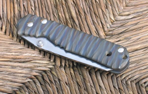 TigerstripedSebenza2.jpg