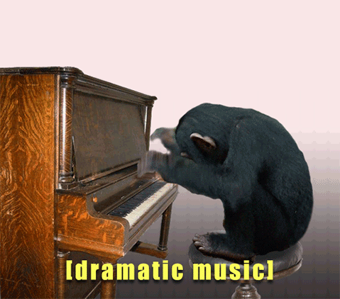 l8MrvVi.gif