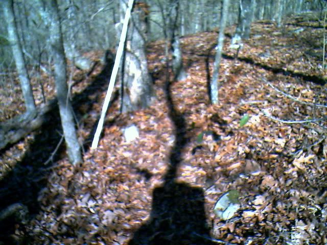IMG00926.jpg