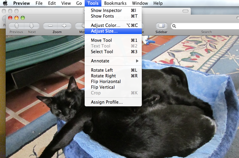 Screenshot2013-02-22at90435PM_zpsdcdbd824.png