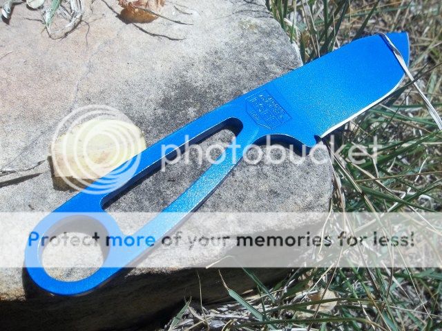 100_2724.jpg