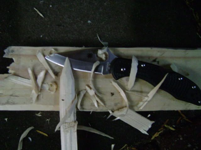 DSC00463.jpg