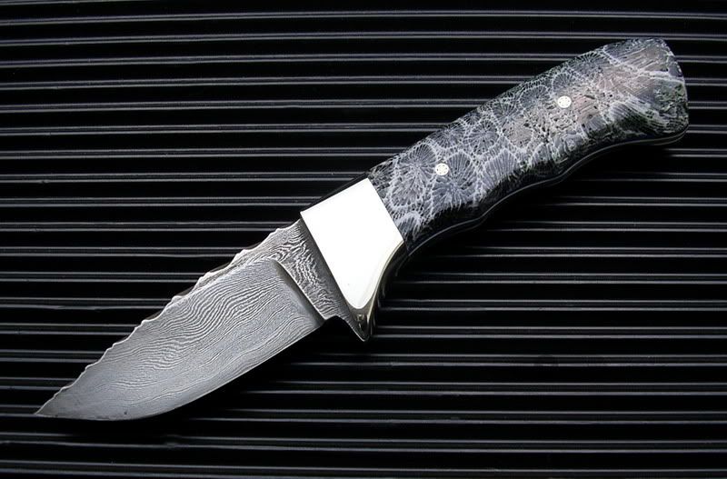 BFCoralHunterLeftProfile.jpg