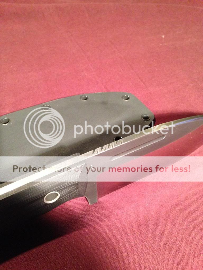 IMG_2543_zps49903410.jpg