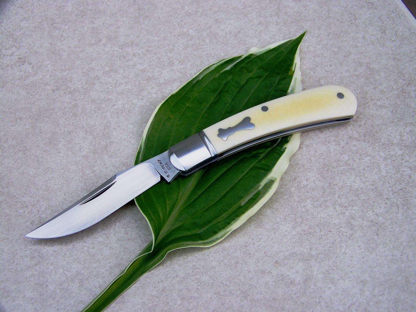 slippie28002.jpg