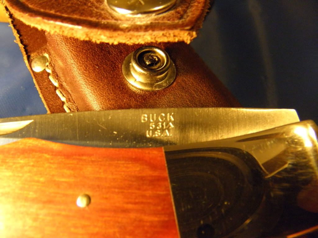 earlybucks144.jpg