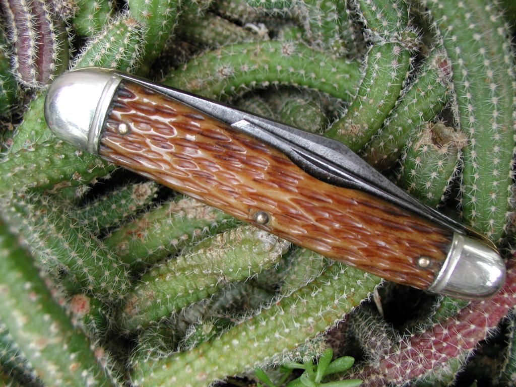 Whittler3_zpsfaba5b2e.jpg