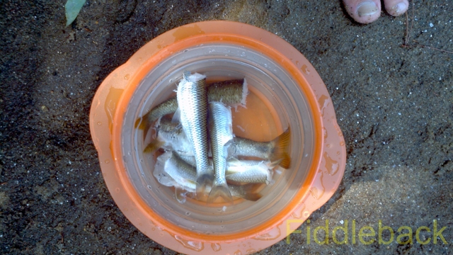 2011090120110825_142551_469-vi.jpg