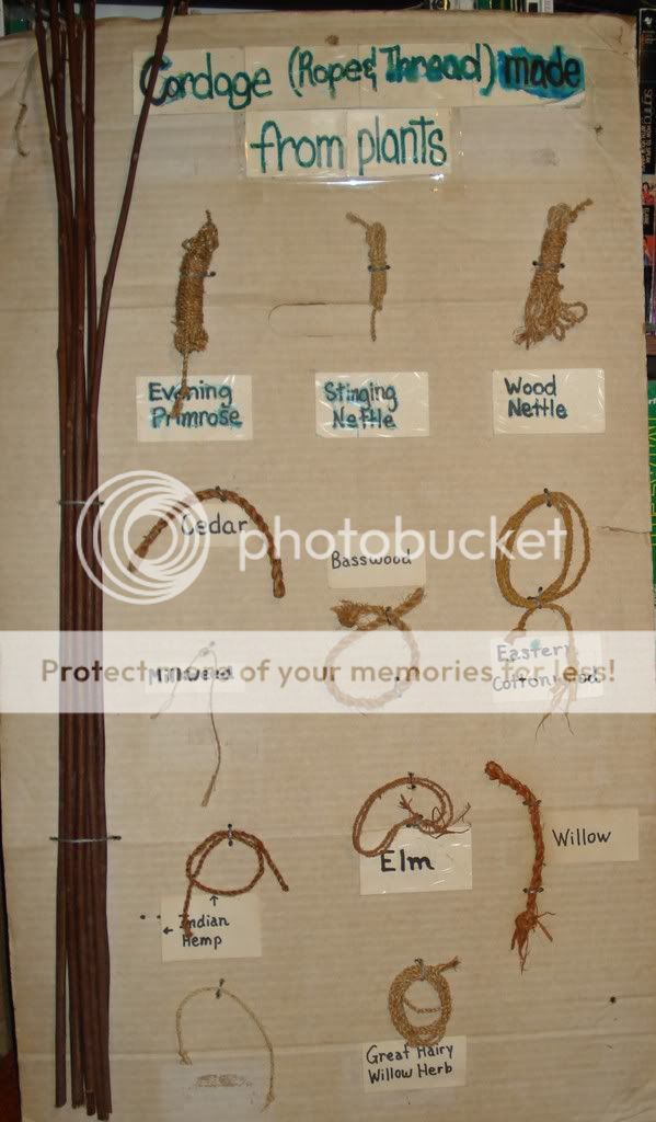 cordageboard.jpg