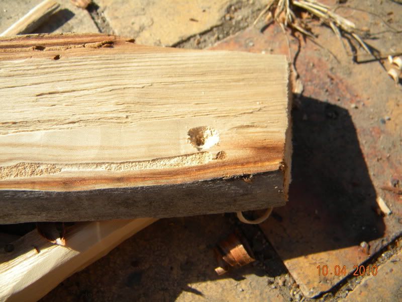 DSCN2898.jpg