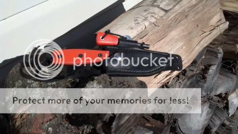 photobucket-29501-1336254271131.jpg